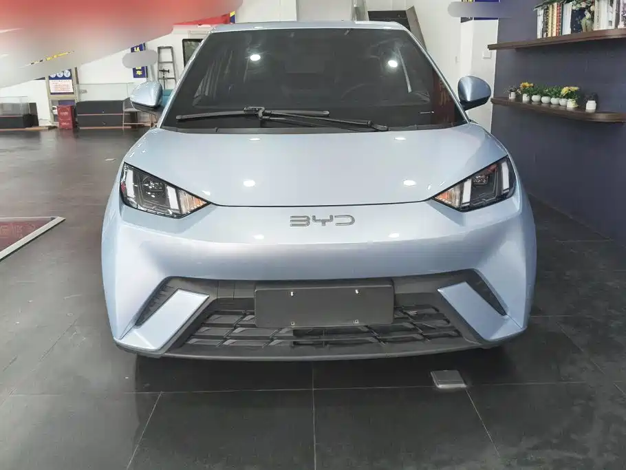 BYD Seagull 2024