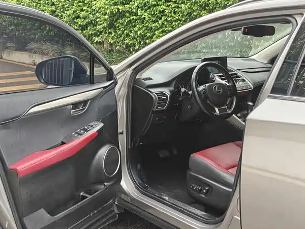 Lexus NX 2019