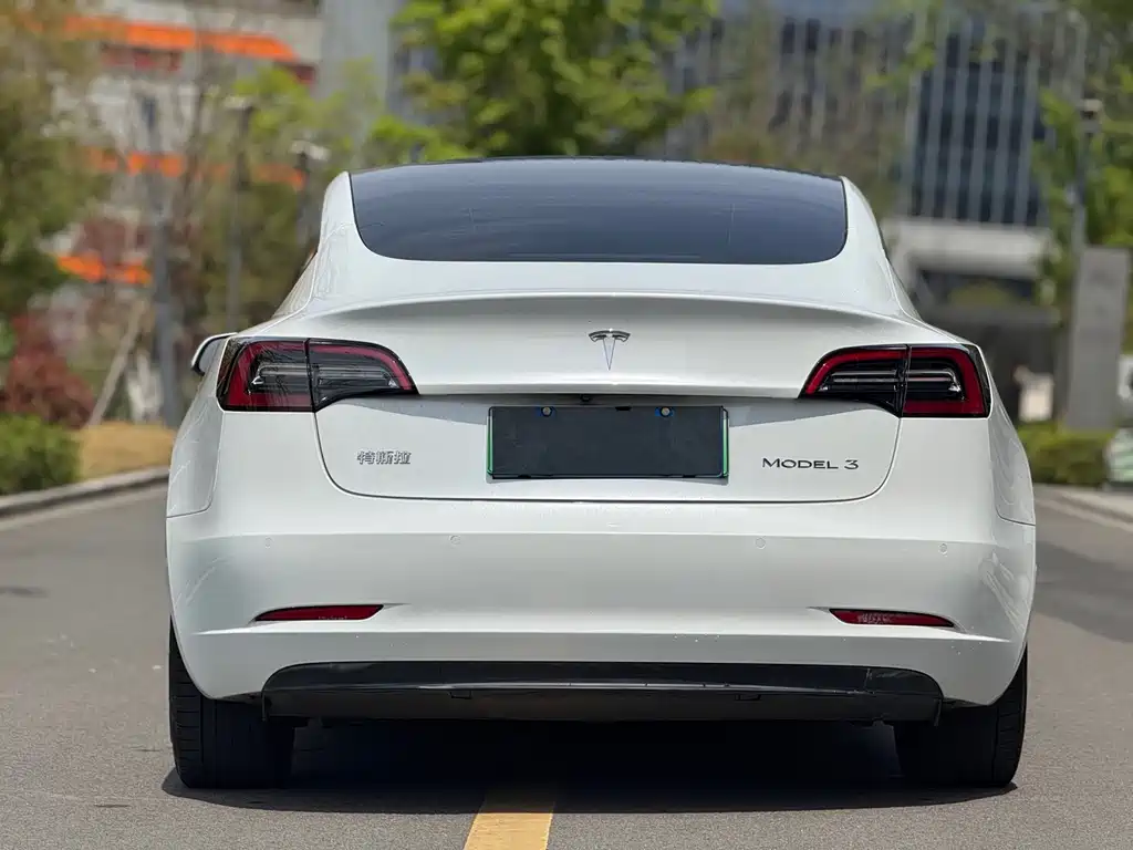 Tesla Model 3 2021 — фото 10