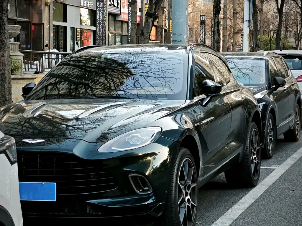 Aston Martin DBX 2021 — фото 2