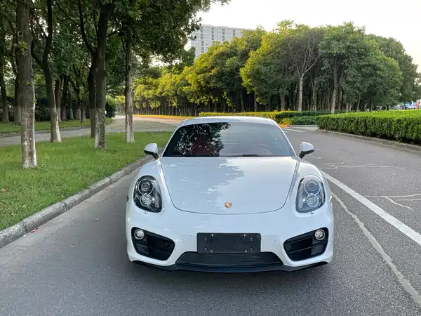 Porsche Cayman 2015