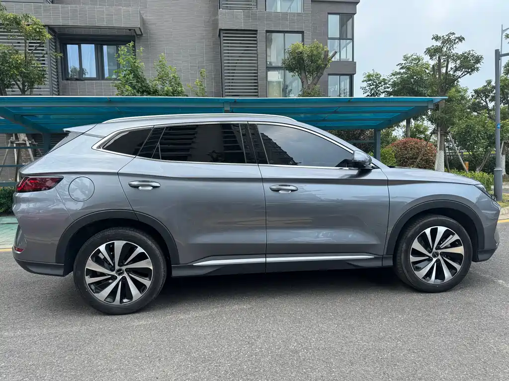 BYD PLUS New Energy 2024 — фото 4