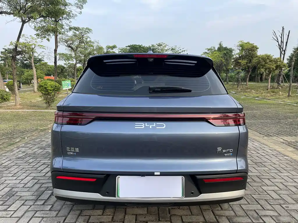 BYD Pro New Energy 2025 — фото 5