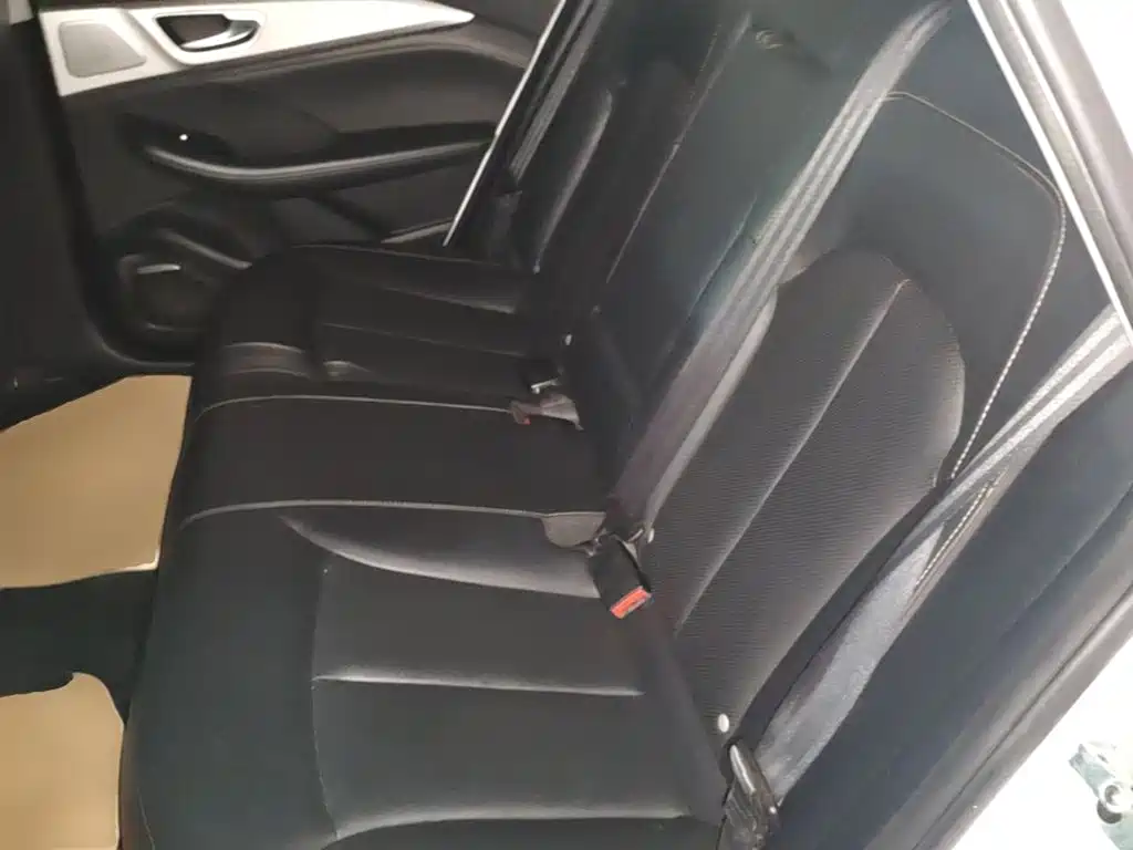 Roewe MAX 2023 — фото 17