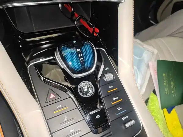 BYD Song PLUS New Energy 2022
