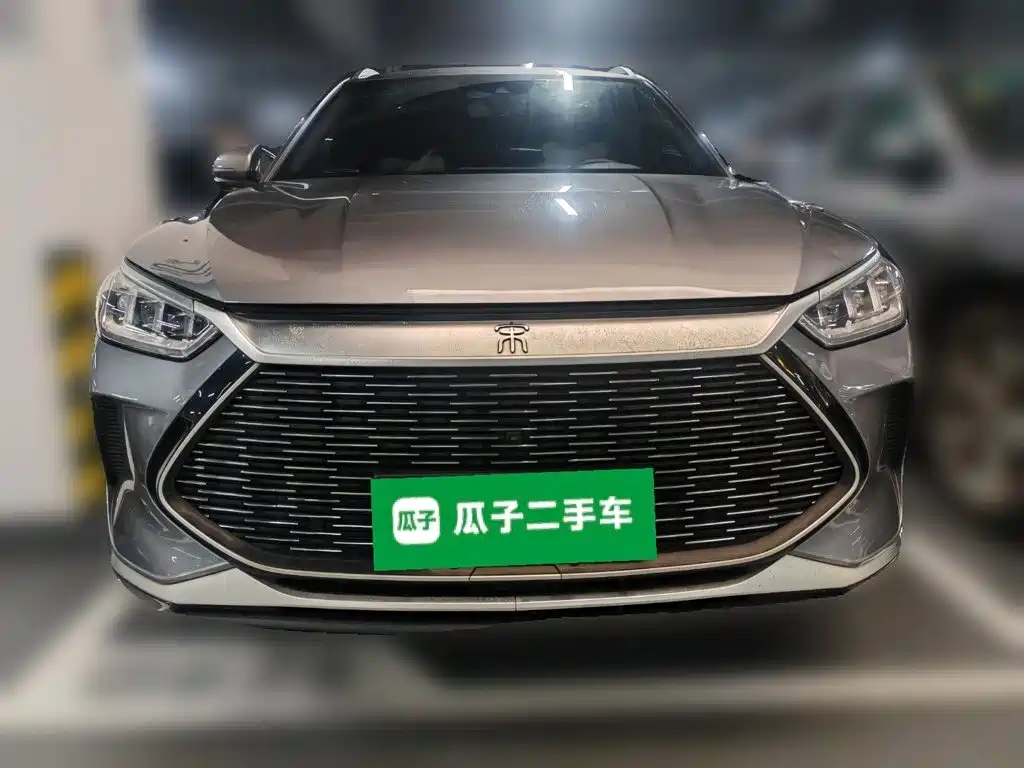BYD Song PLUS New Energy 2022 — фото 24