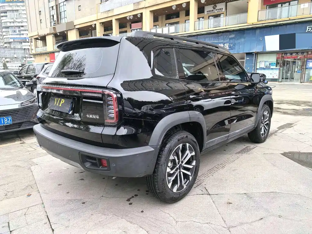 Haval Big Dog 2025 — фото 9