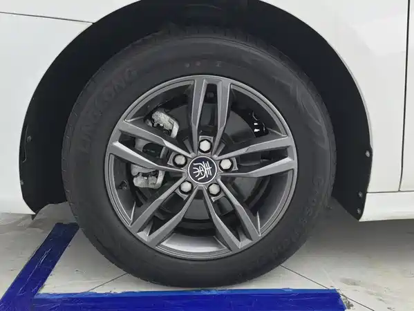 BYD Qin Pro 2021