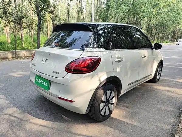 Wuling Bingo 2024