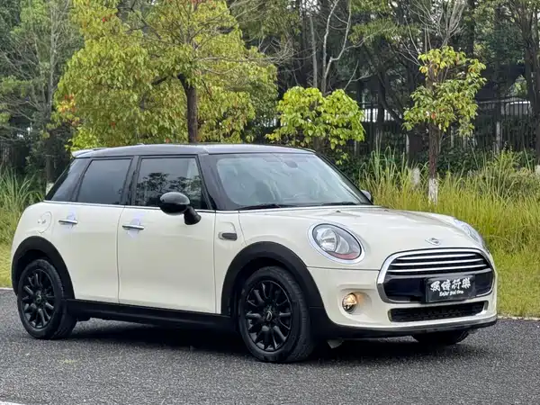MINI 2017