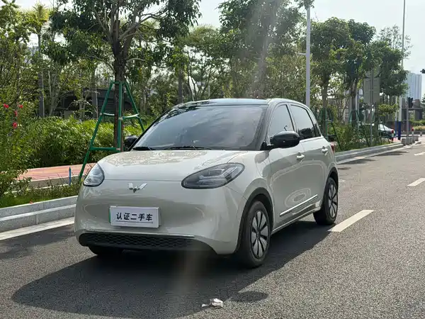 Wuling Bingo 2025