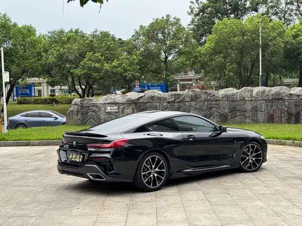 BMW 8 Series 2019