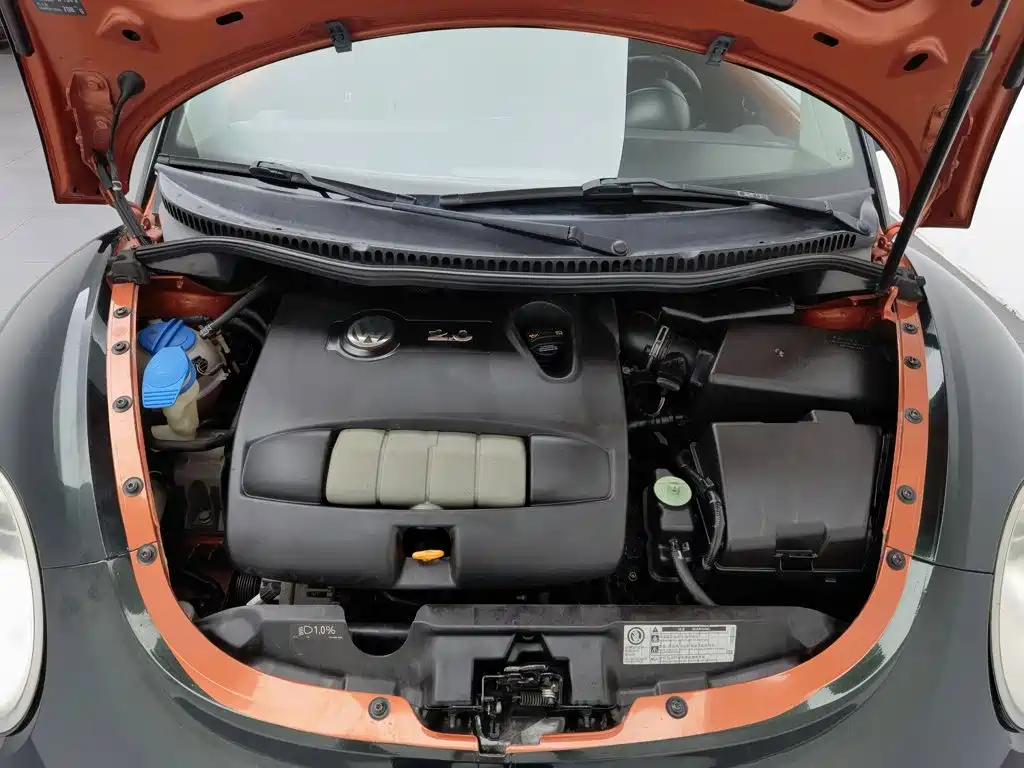 Volkswagen Beetle 2010