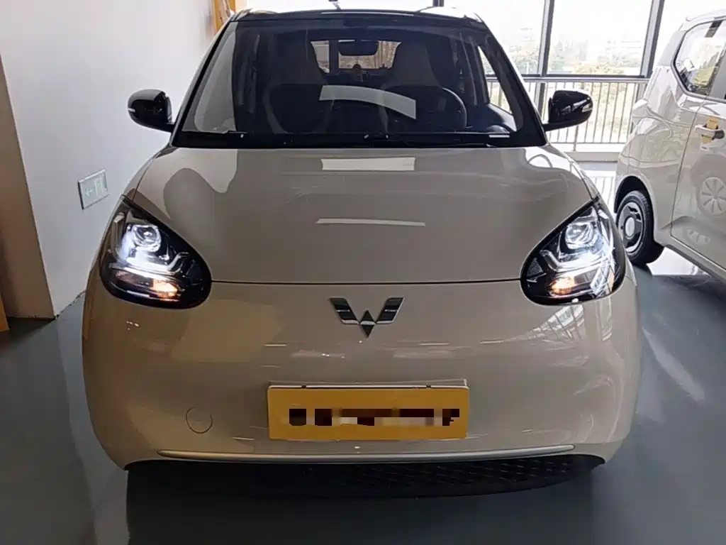 Wuling Bingo 2024
