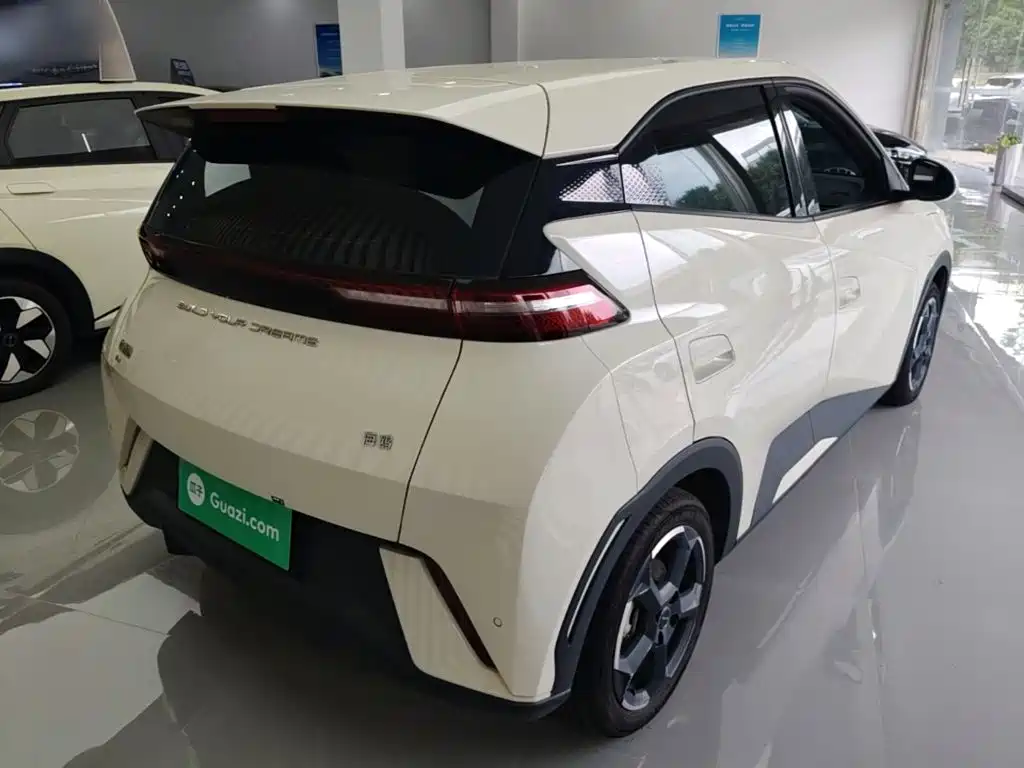BYD Seagull 2024