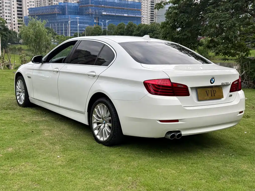 BMW 5 Series 2014 — фото 6