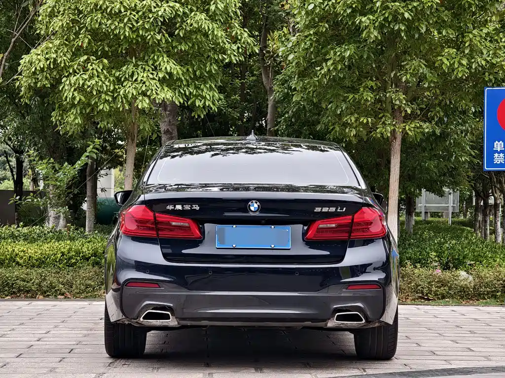 BMW 5 Series 2019 — фото 5