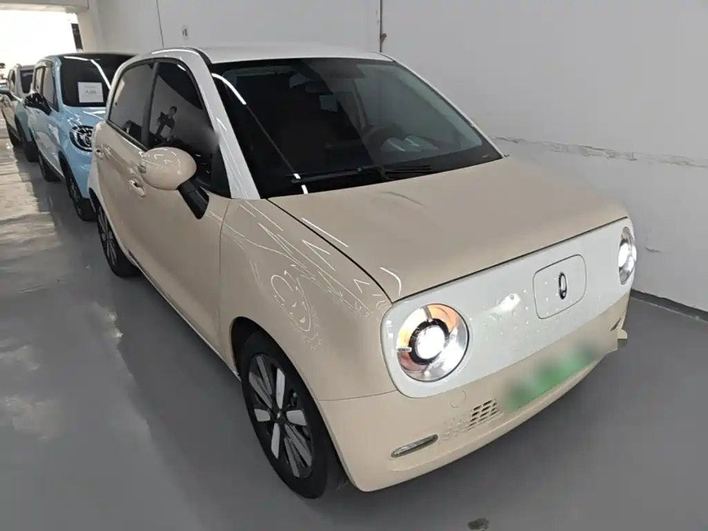 Ora Black Cat 2022