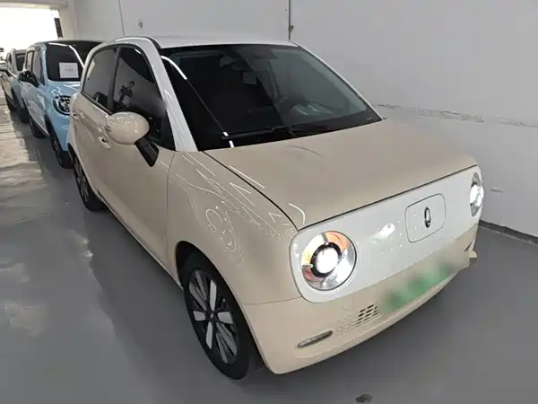 Ora Black Cat 2022