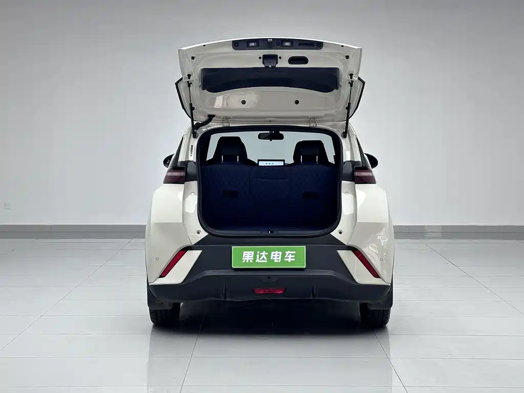 BYD Seagull 2024