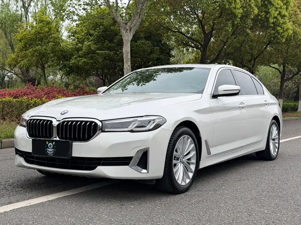 BMW 5 Series 2021