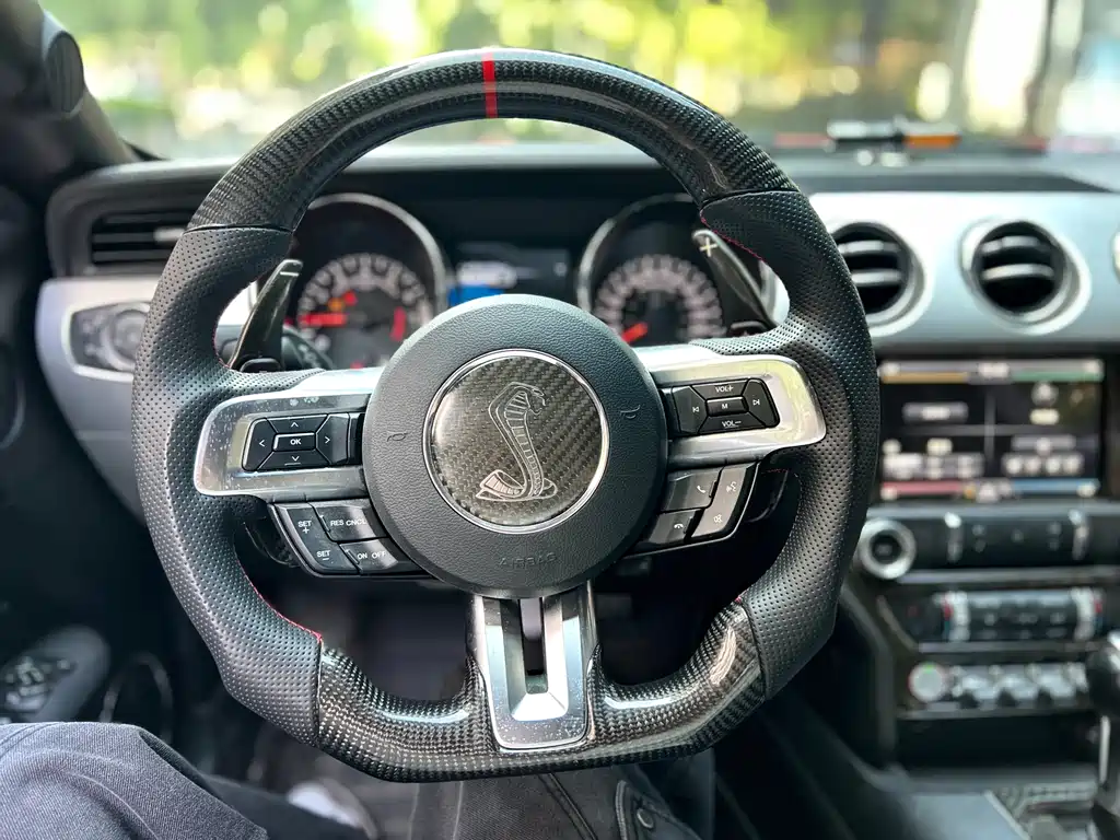 Ford Mustang 2015 — фото 11