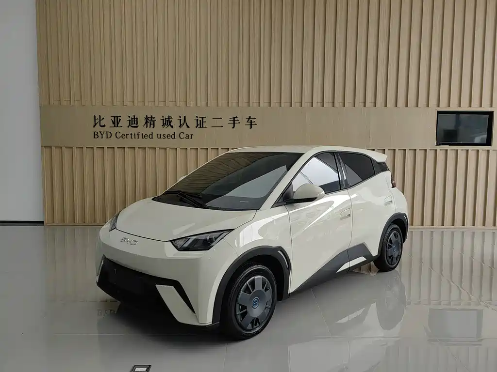 BYD Seagull 2025