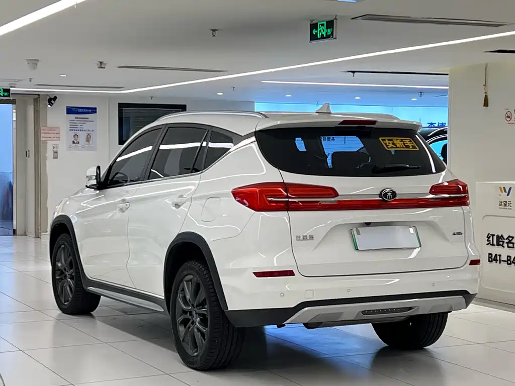 BYD New Energy 2019