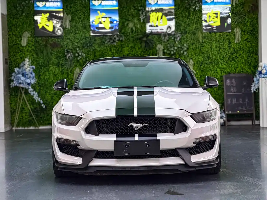 Ford Mustang 2017 — фото 2