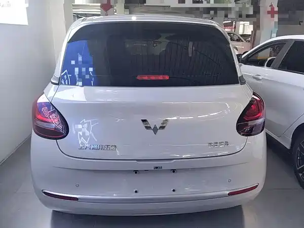 Wuling Bingo 2024