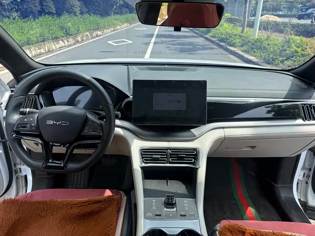 BYD PLUS New Energy 2024 — фото 11