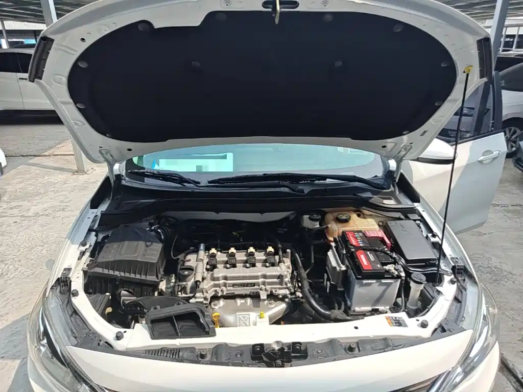 Chevrolet Cavalier 2018 — фото 19