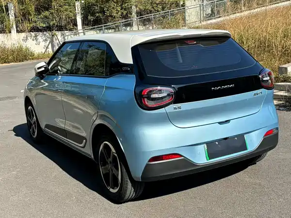 Dongfeng Nano 01 2024