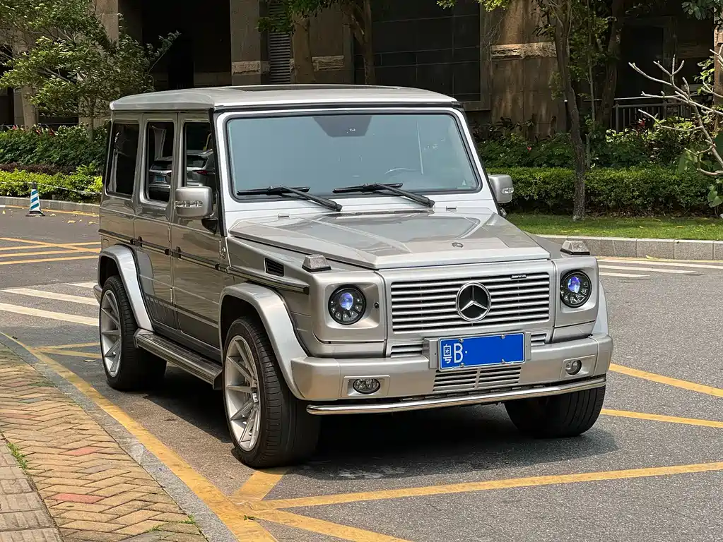 Mercedes-Benz G-Class AMG 2010 — фото 3