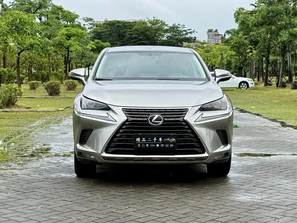 Lexus NX 2020