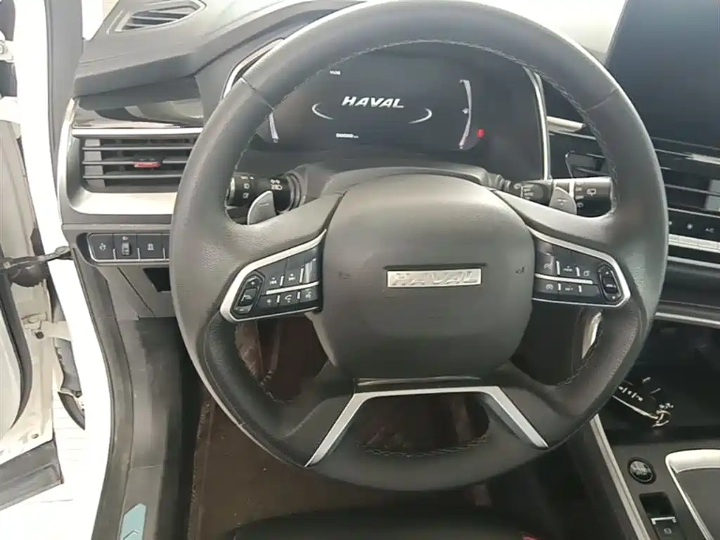 Haval H6 2021 — фото 11
