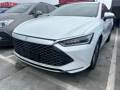 BYD Qin PLUS 2024
