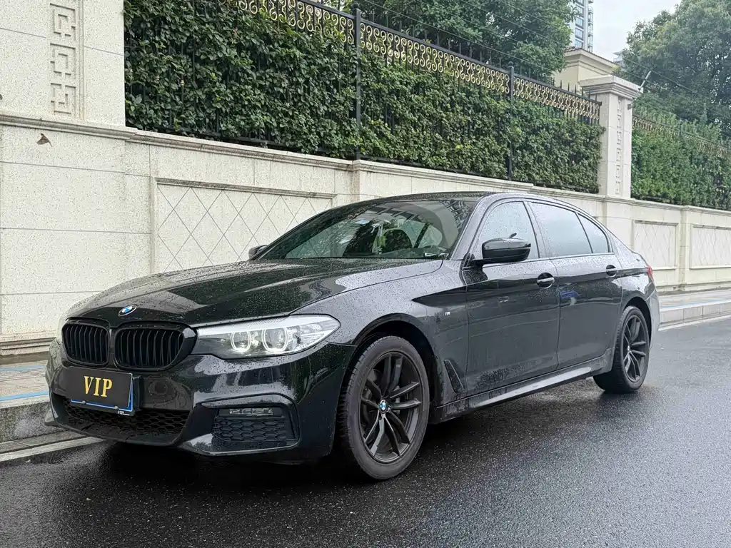 BMW 5 Series 2019