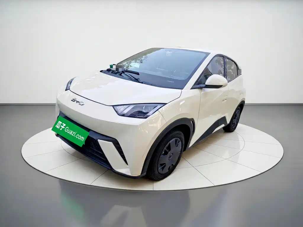 BYD Seagull 2025