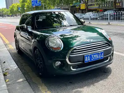 MINI MINI 2015