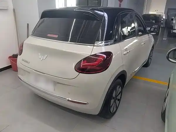Wuling Bingo 2024