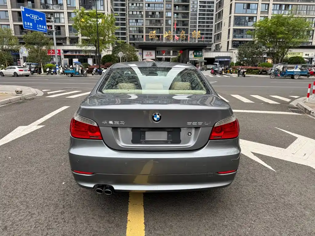 BMW 5 Series 2010