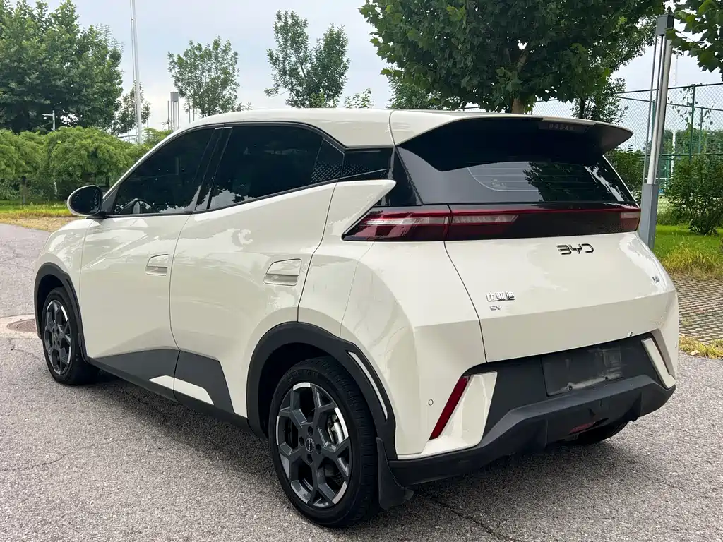 BYD Seagull 2024