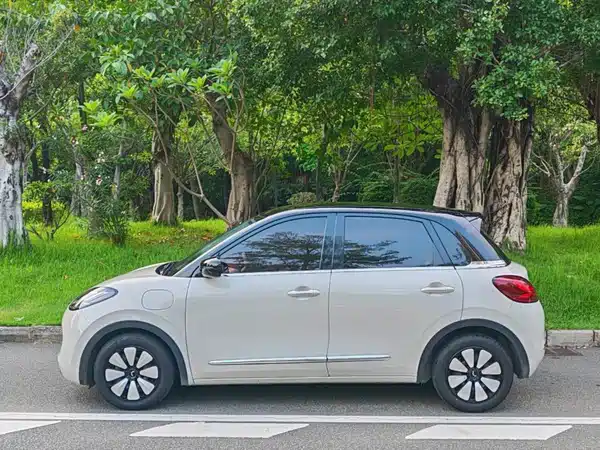 Wuling Bingo 2024
