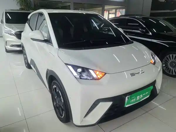 BYD Seagull 2024