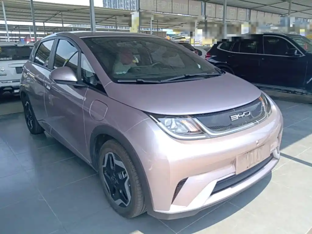 BYD Dolphin 2022