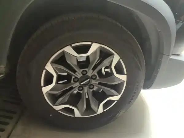 Haval Dargo 2022