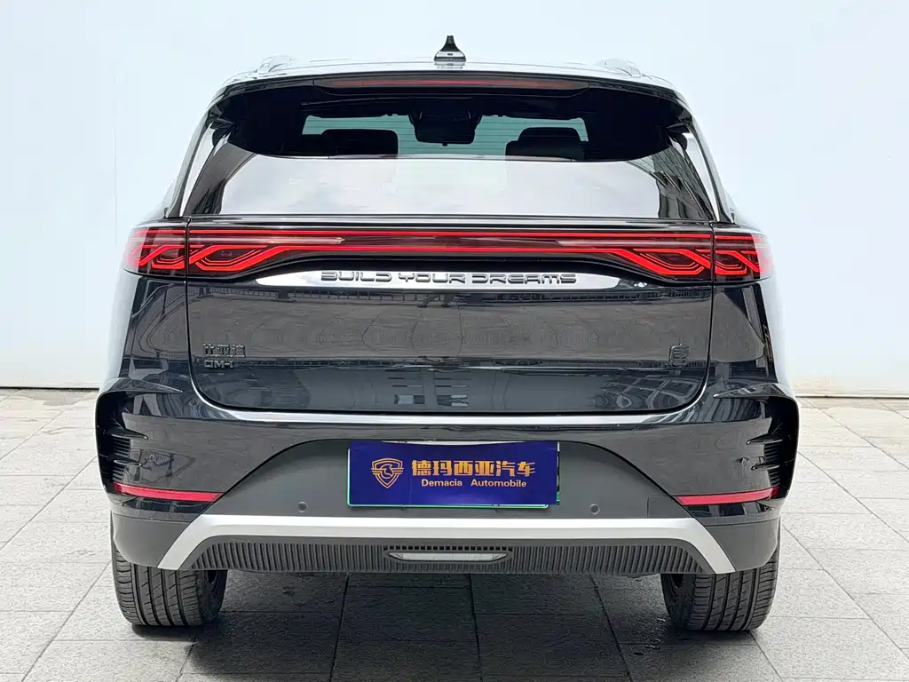 BYD Tang New Energy 2024 — фото 17