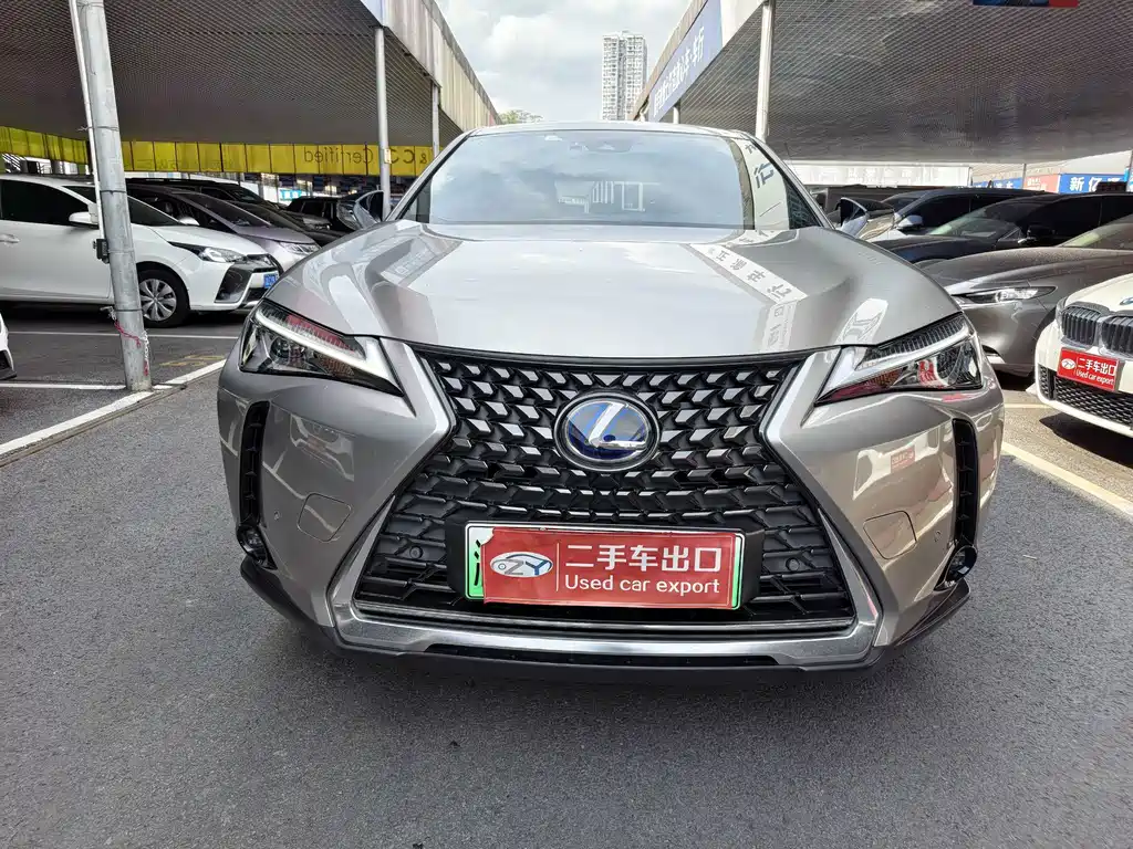 Lexus UX New Energy 2022 — фото 2