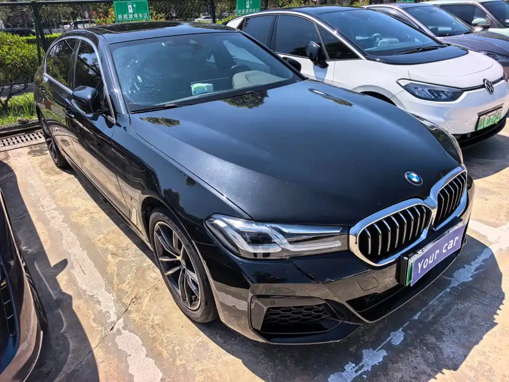 BMW 5 Series New Energy 2021